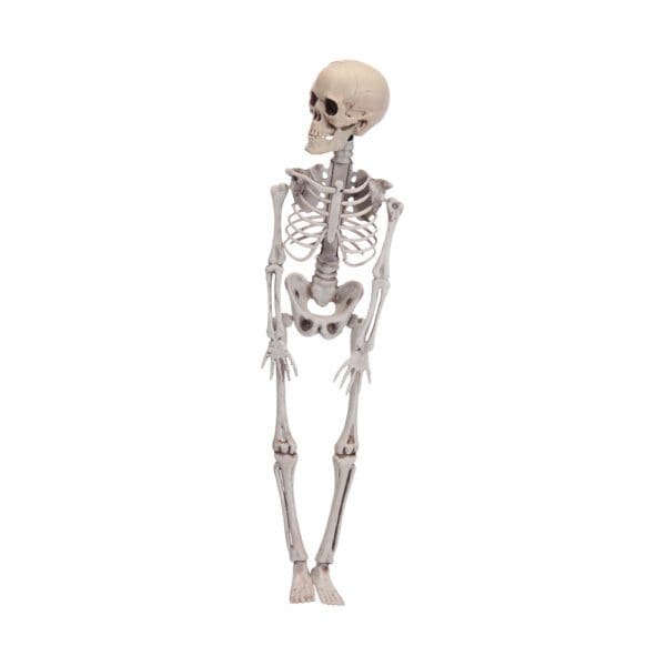 FIGURA ESQUELETO HALLOWEEN 42cm